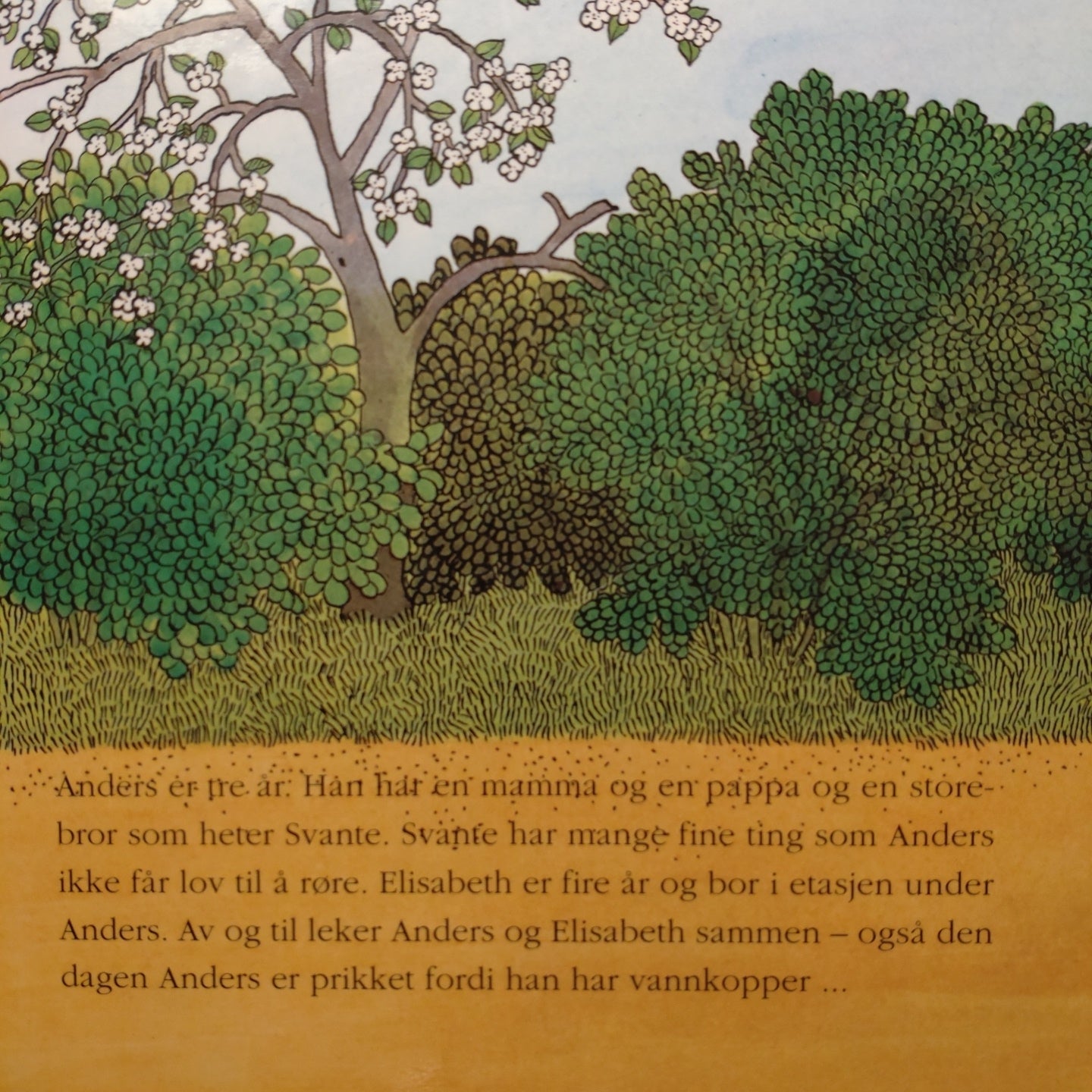 Thorvall, Kerstin: Godnattstubber om Anders