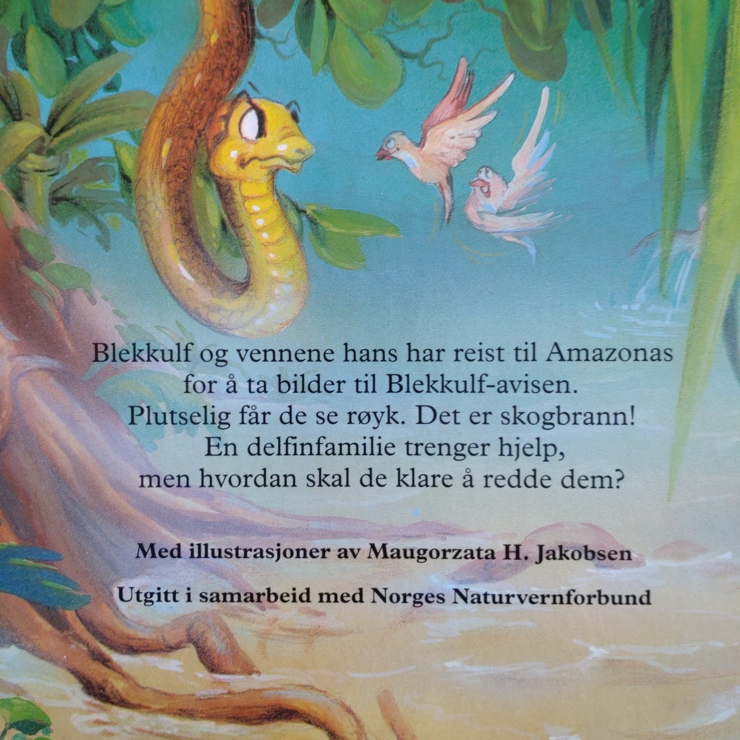 Roestad, Bente: Blekkulf - Delfinetta og den store bølgen