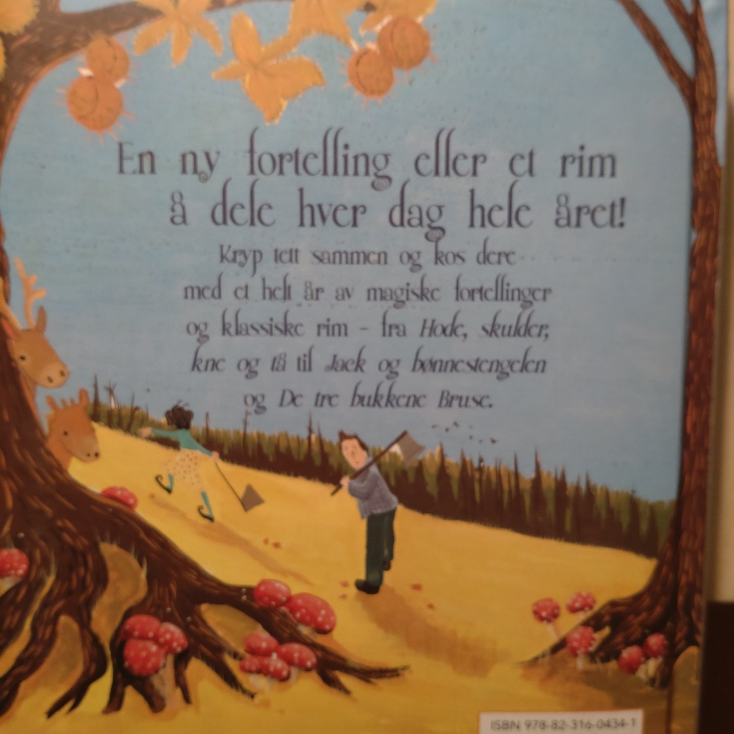 365 historier og rim for gutter