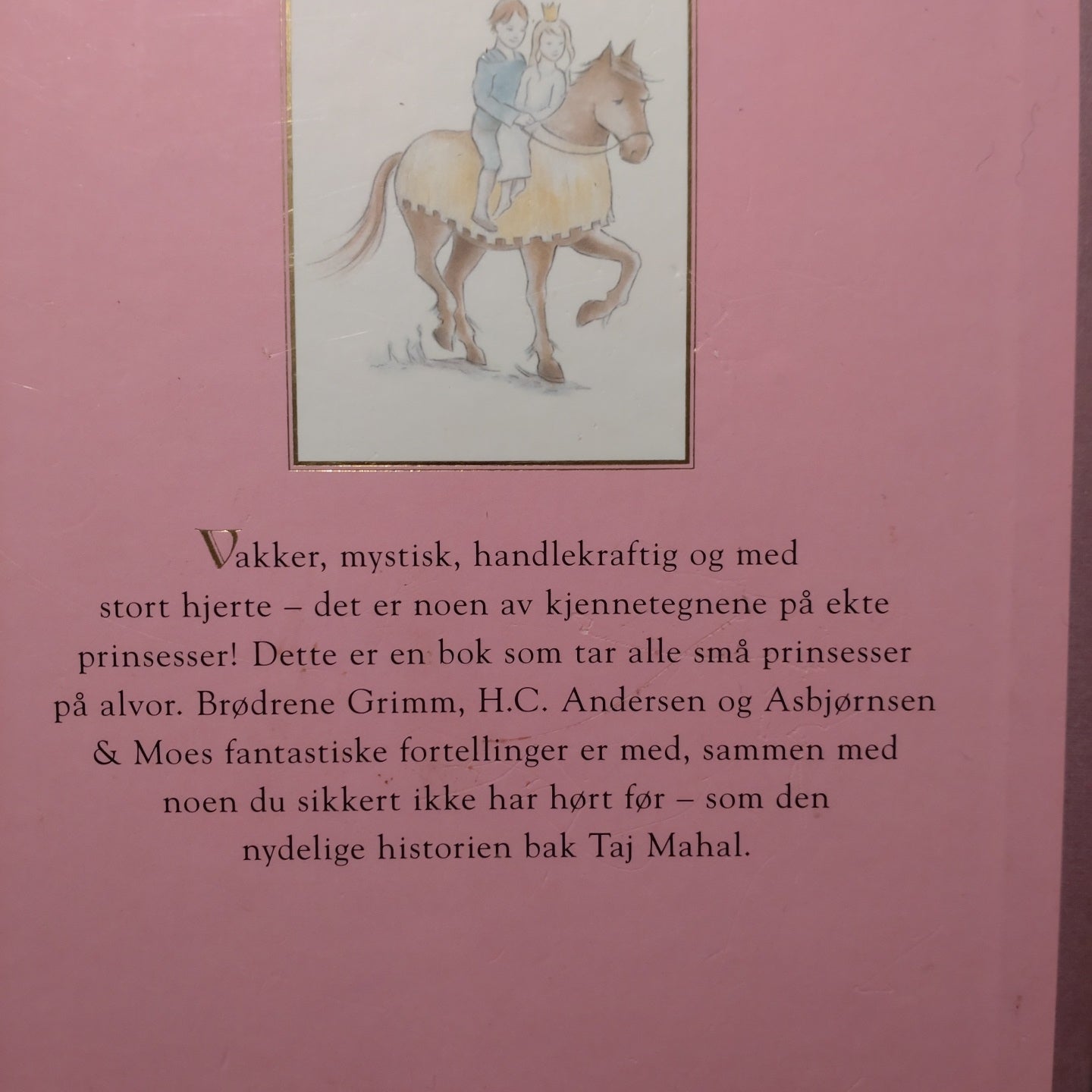 Barnas store prinsessebok