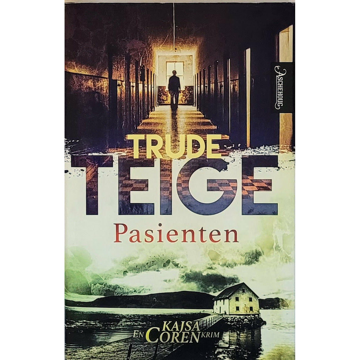 Pasienten, brukte bøker av Trude Teige