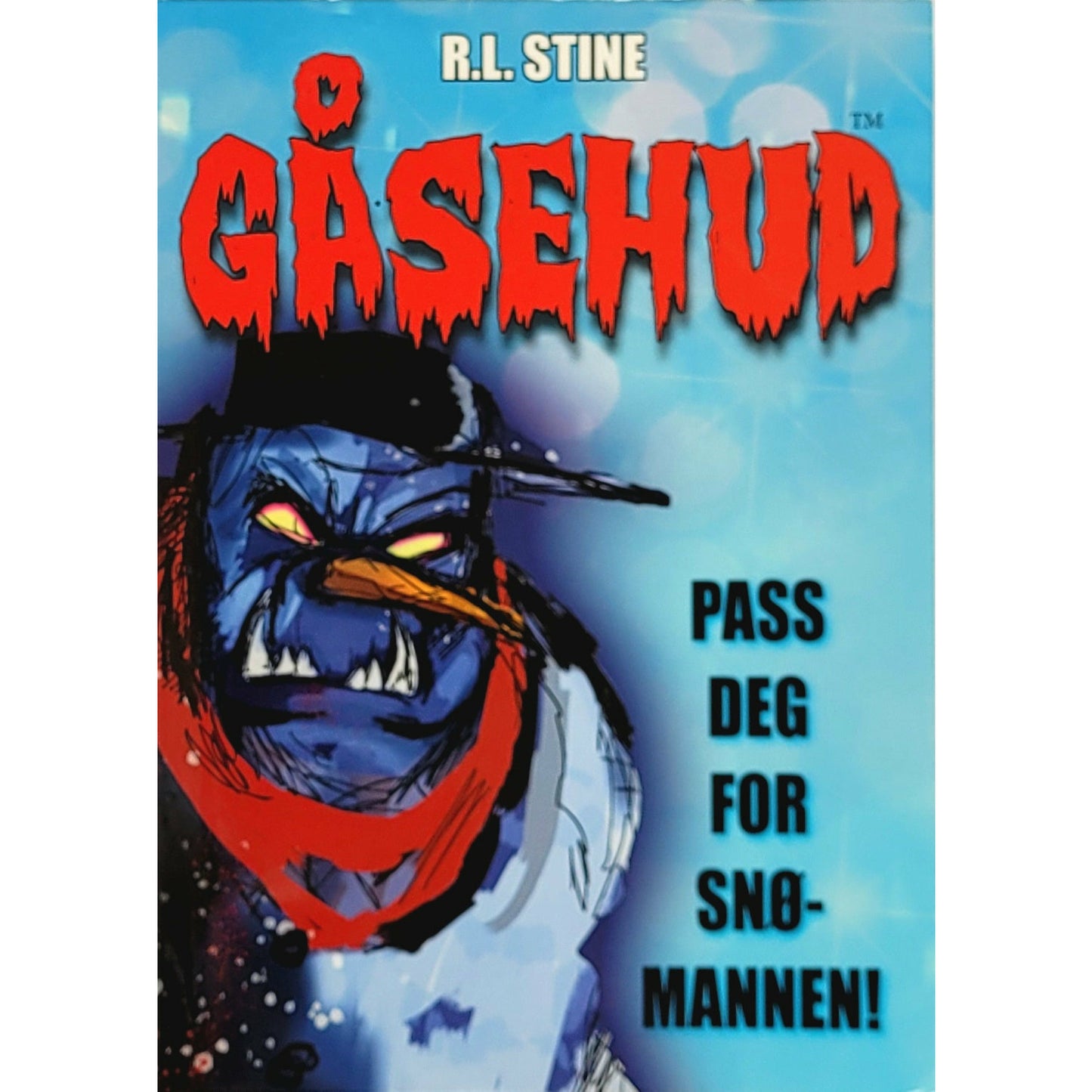 Stine R.L.: Pass deg for snømannen - Gåsehud 1