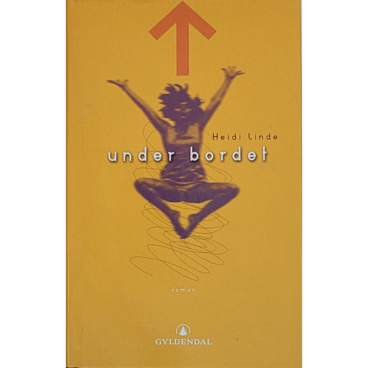 Under bordet - Brukte bøker av Heidi Linde