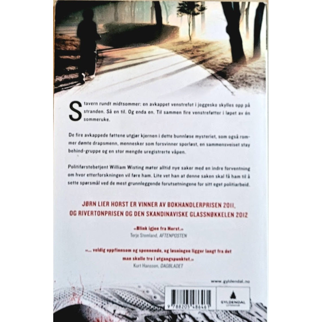 Horst, Jørn Lier: William Wisting 6 - Bunnfall