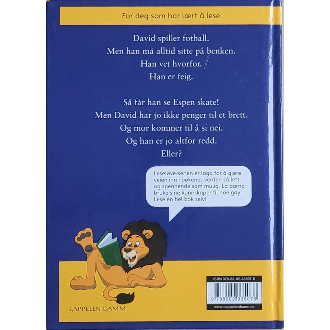 Rossebø, Arild: David skater