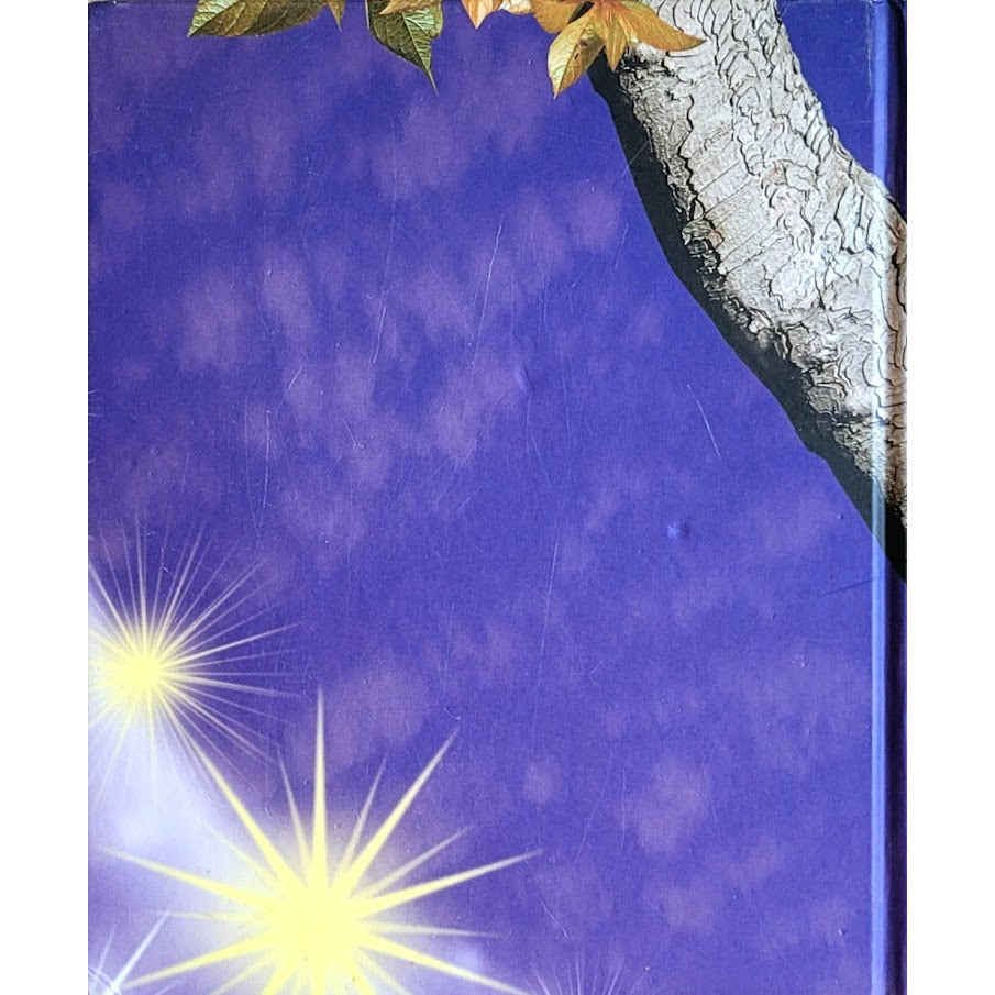 På skattejakt i havet