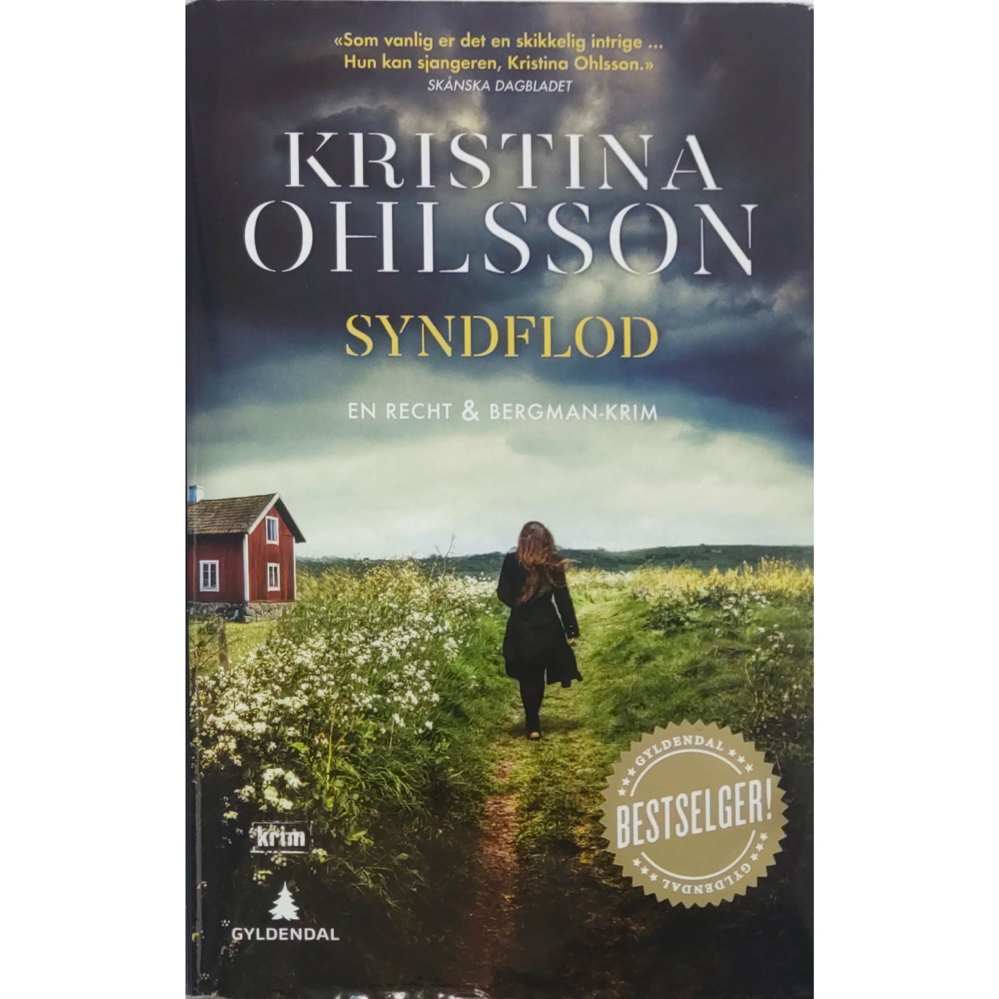 Ohlsson, Kristina: Syndflod (Alex Recht 6)
