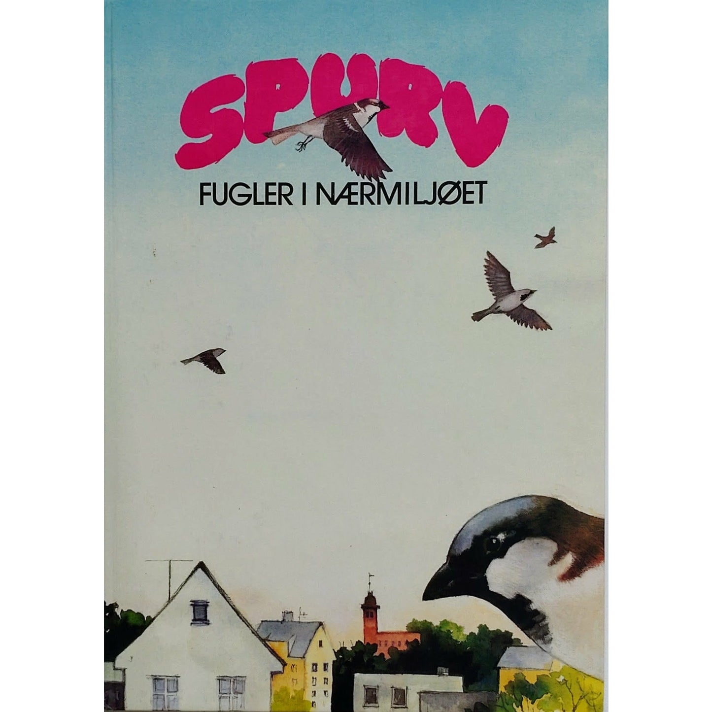 Spurv - fugler i nærmiljøet