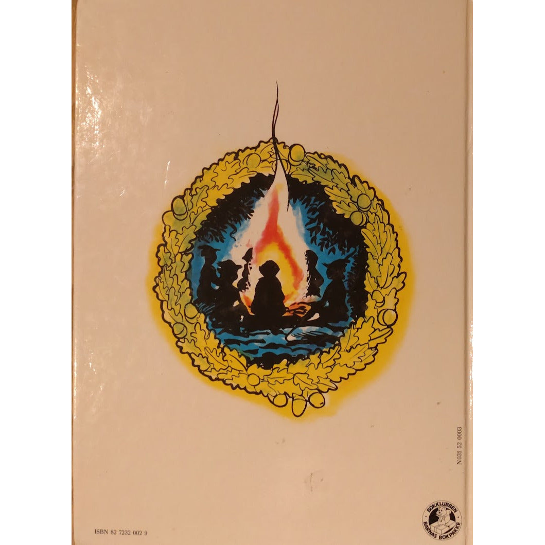 Fra Robin Hood: Den mystiske bueskytteren