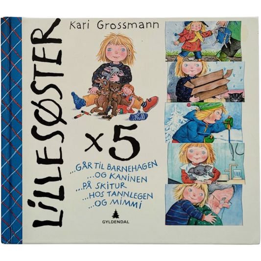 Lillesøster x 5, brukte bøker av Kari Grossmann