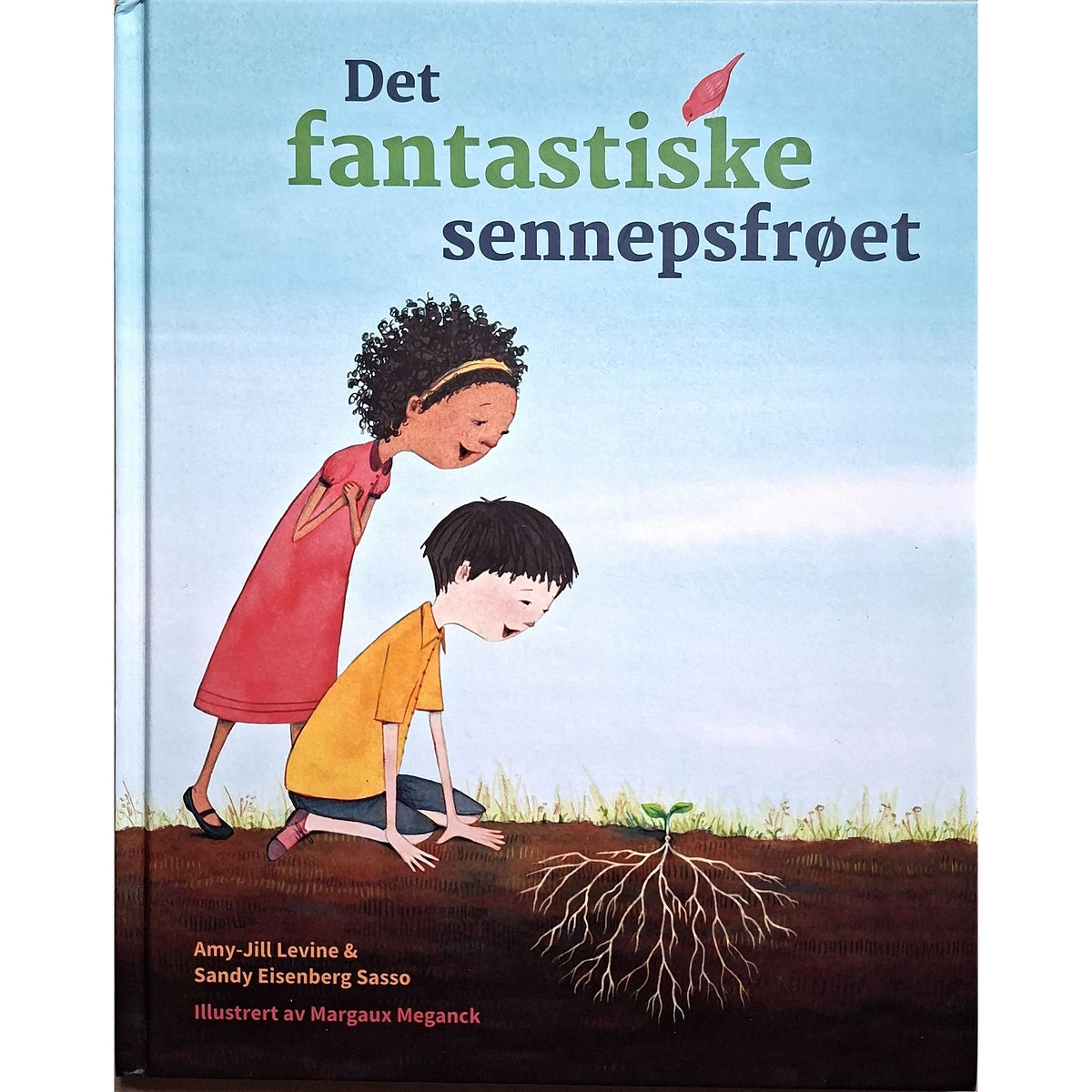 Det fantastiske sennepsfrøet, brukte bøker av Amy-Jill Levine