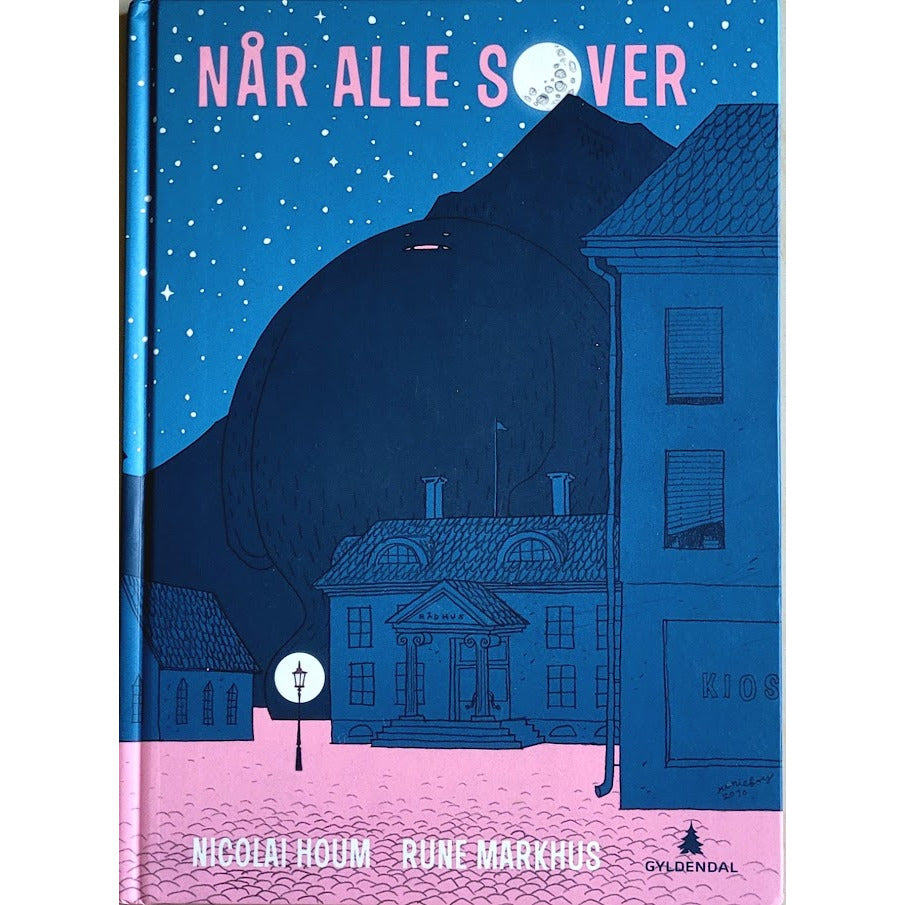 Når alle sover - Brukte bøker av Nicolai Houm