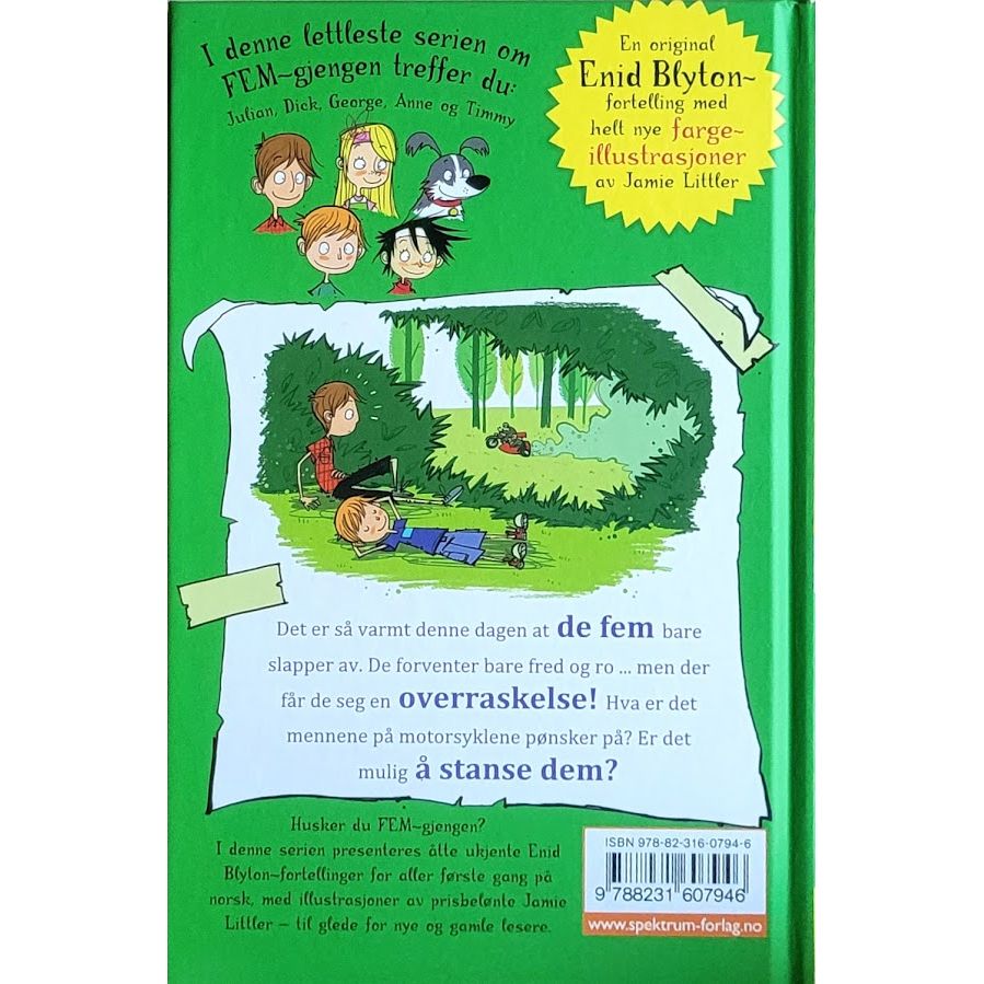 Blyton, Enid: Fem-gjengen - En rolig ettermiddag