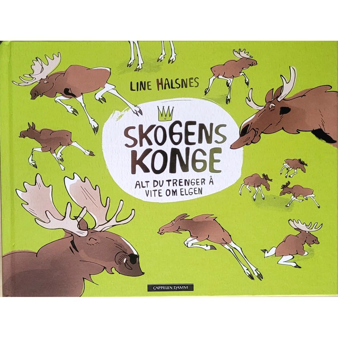 Skogens konge. Brukte bøker av Line Halsnes