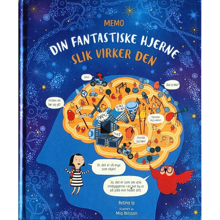 Din fantastiske hjerne - Slik virker den, brukte bøker av Betina Ip