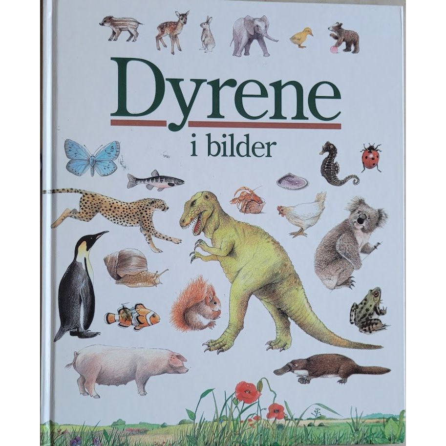 Dyrene i bilder, brukte bøker