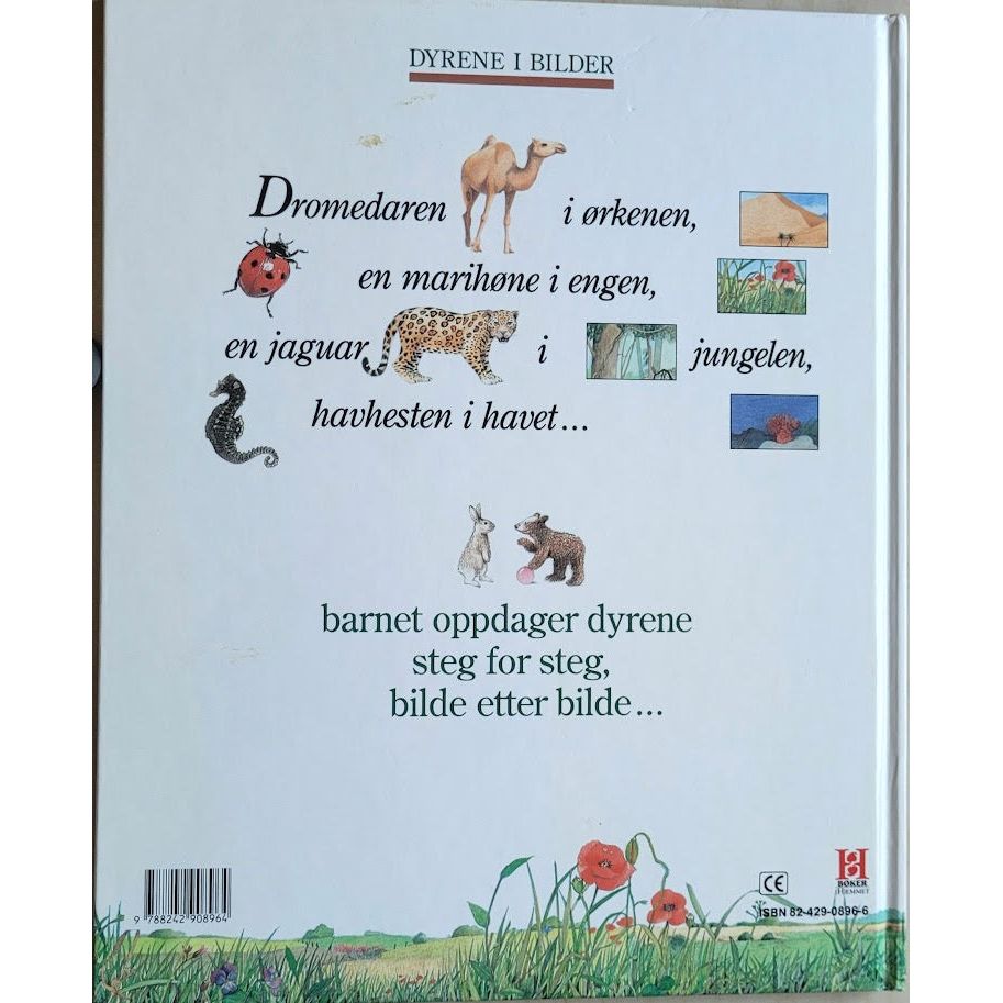 Dyrene i bilder