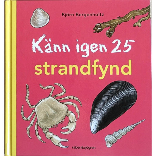 Känn igen 25 strandfynd, brukte bøker av Björn Bergenholtz
