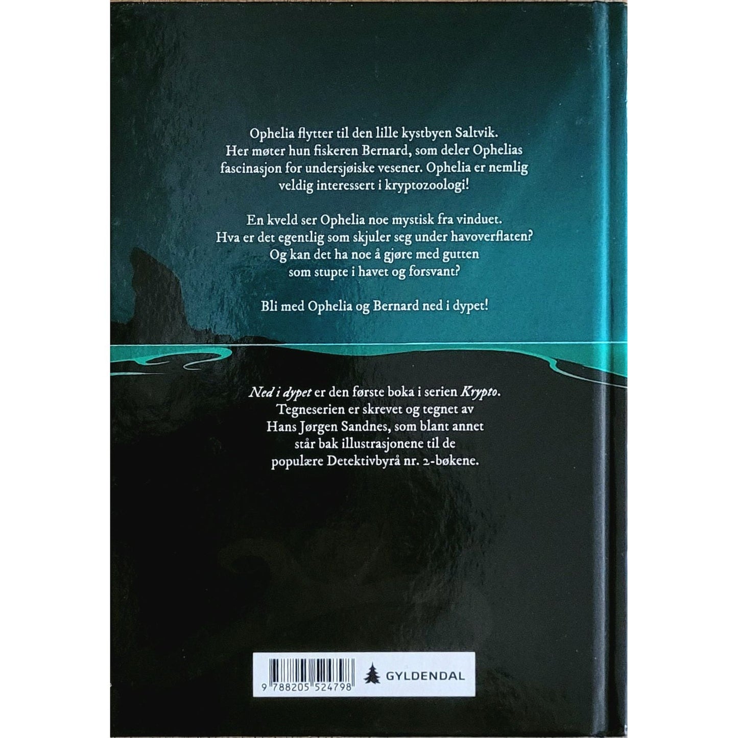 Sandnes, Hans Jørgen: Krypto 1 - Ned i dypet