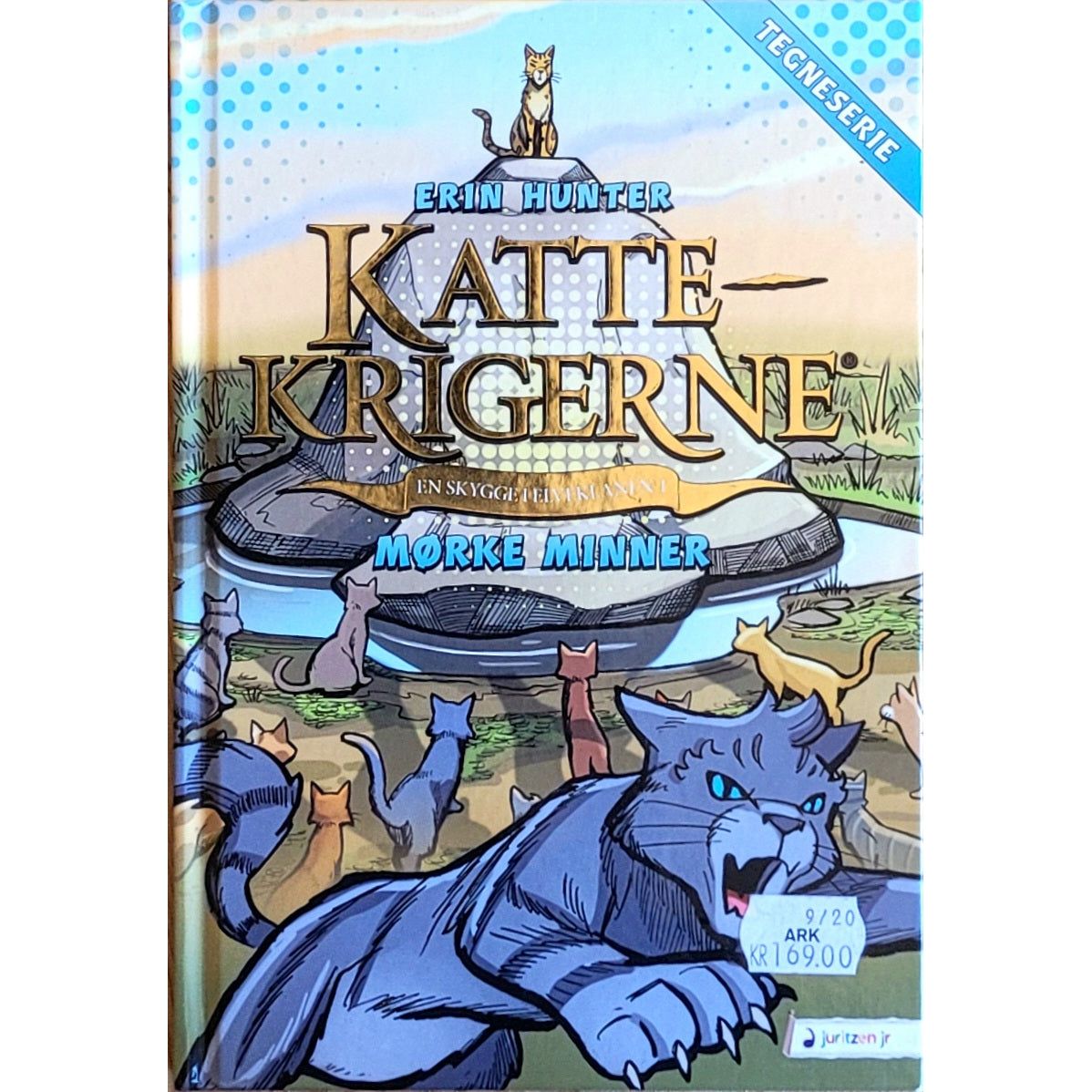 Erin: En skygge i Elveklanen 1 - Mørke minner - Kattekrigerne tegneserie 4-1, brukte bøker av Erin Hunter