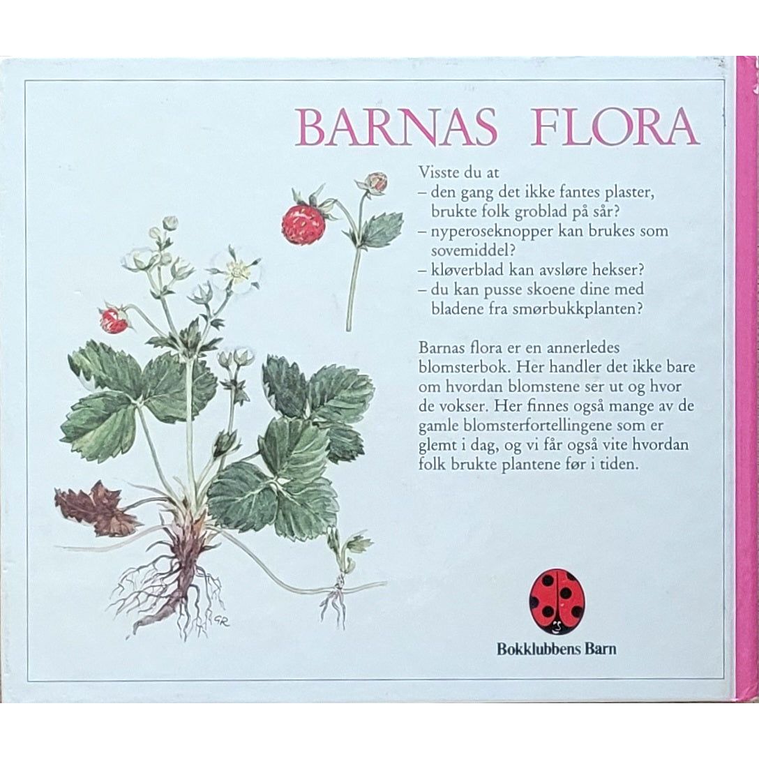 Falk, Bisse: Barnas flora