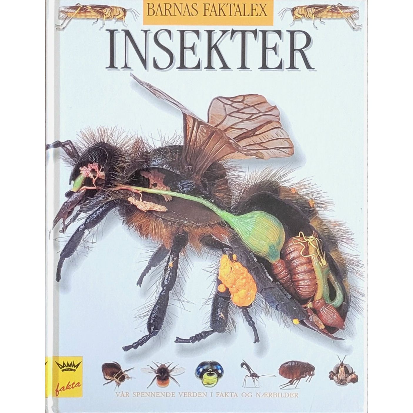 Barnas faktalex - Insekter. Brukte bøker