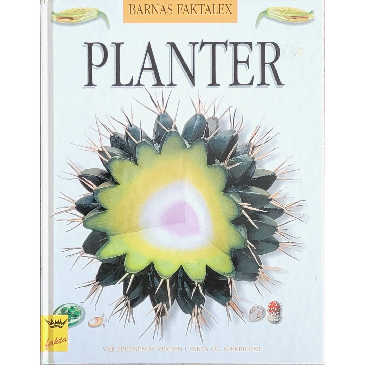 Barnas faktalex - Planter. Brukte bøker