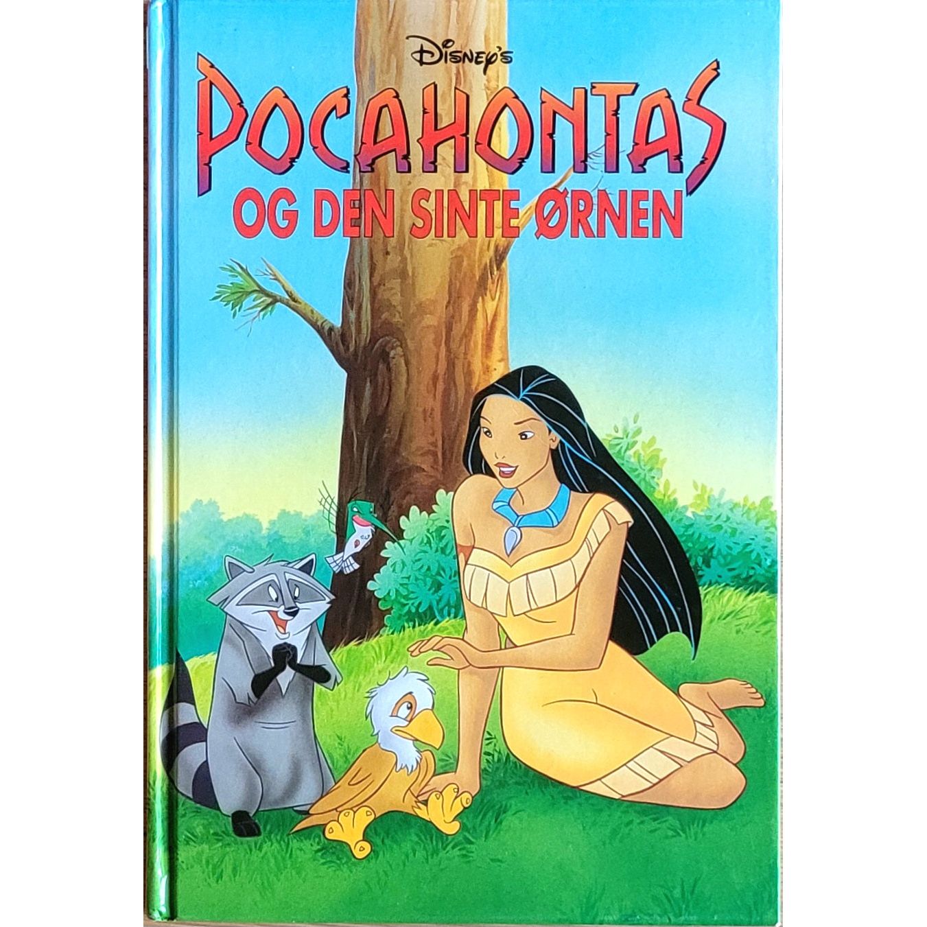 Disney's: Pocahontas og den sinte ørnen, brukte bøker