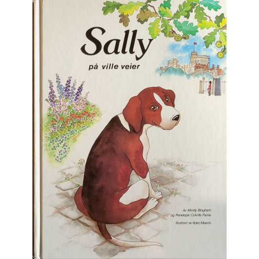 Sally på ville veier, brukte bøker av Mindy Bingham