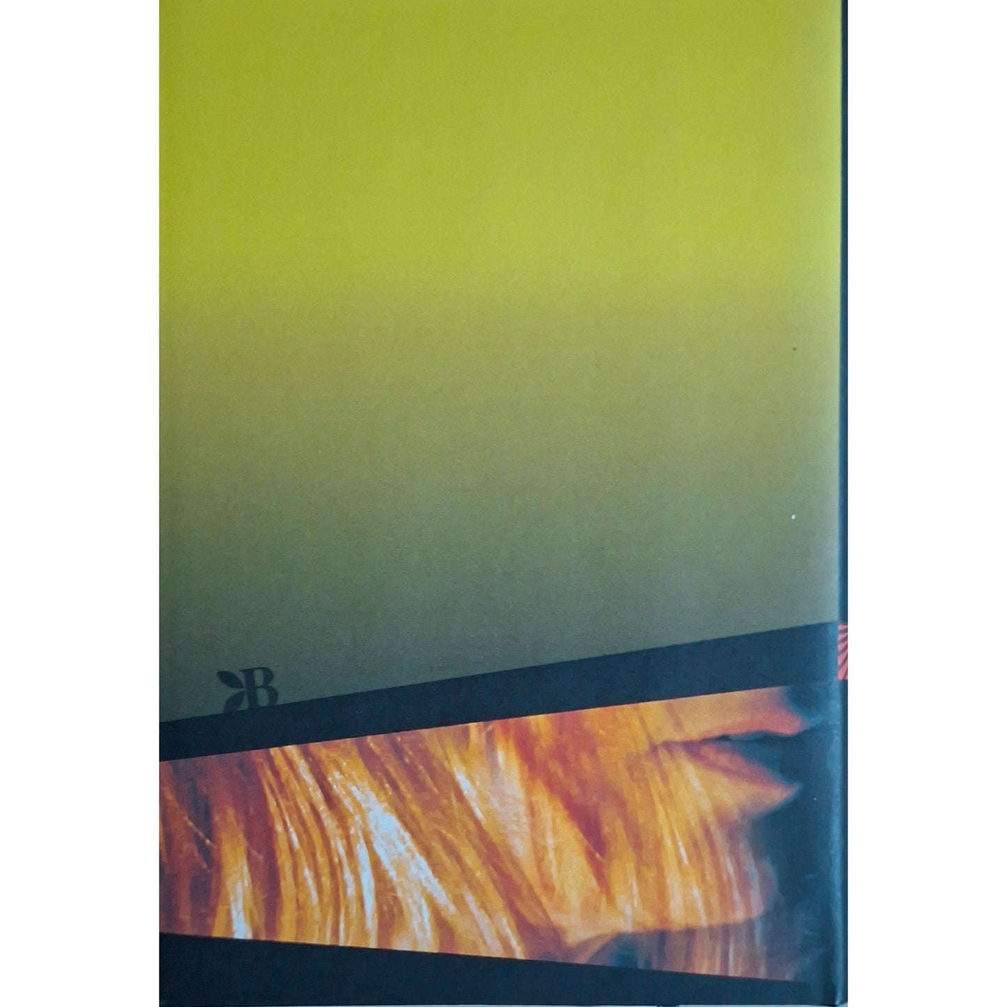 Nesser, Håkan: Van Veeteren 4 - Kvinnen med fødselsmerket