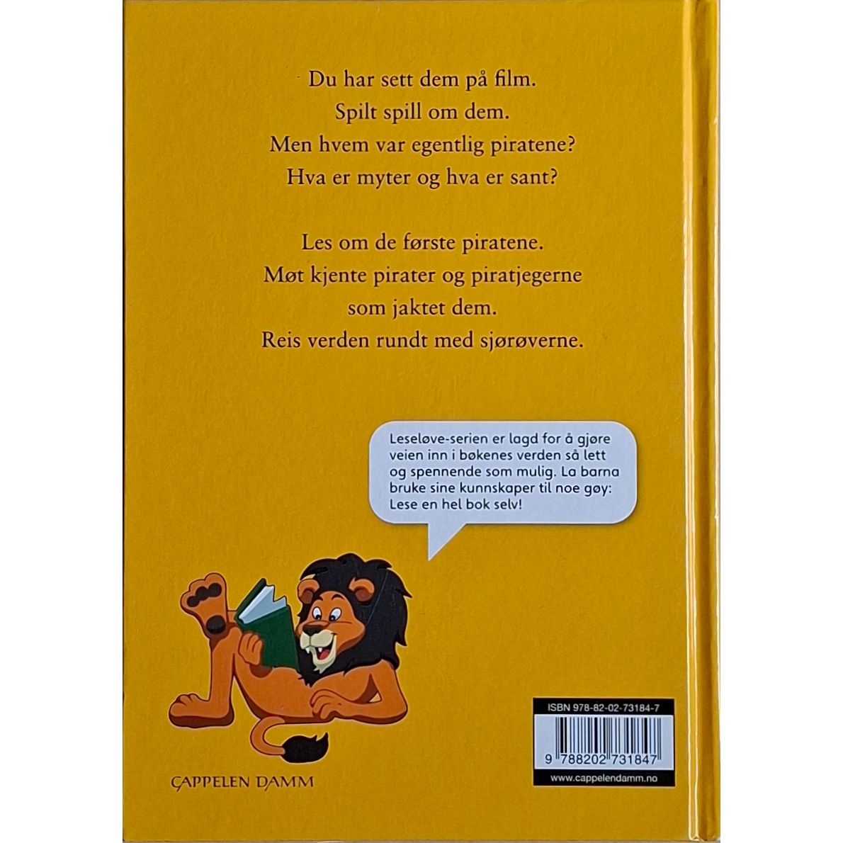 Sørum, Steffen R.M.: Pirater fra hele verden