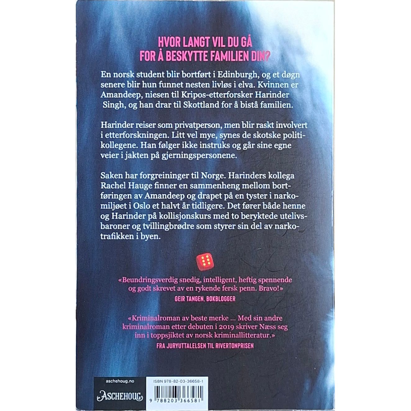 Næss, Sven Petter: Harinder Singh 2 - Skjebnesteinen