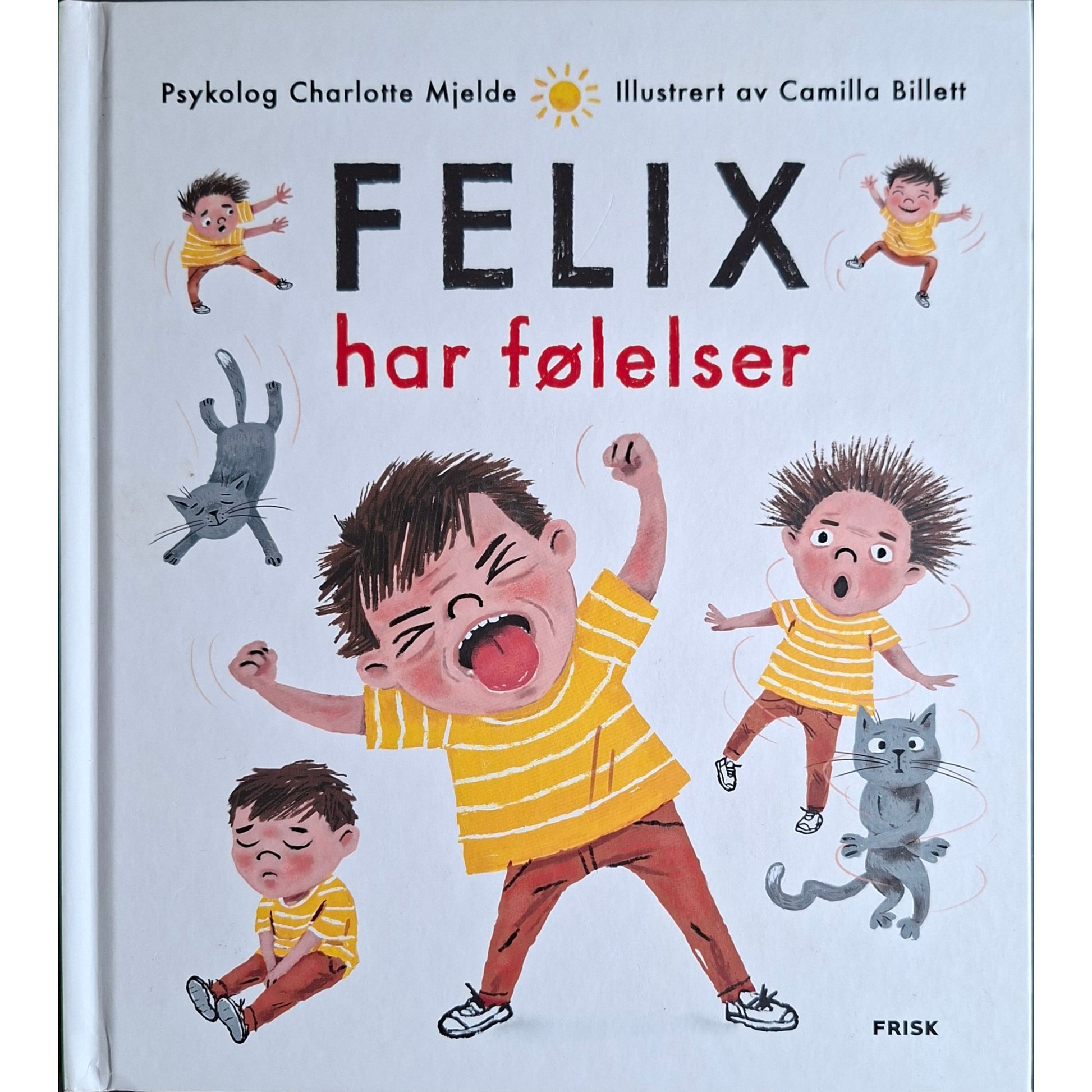Felix har følelser - Brukte barnebøker av Charlotte Mjelde