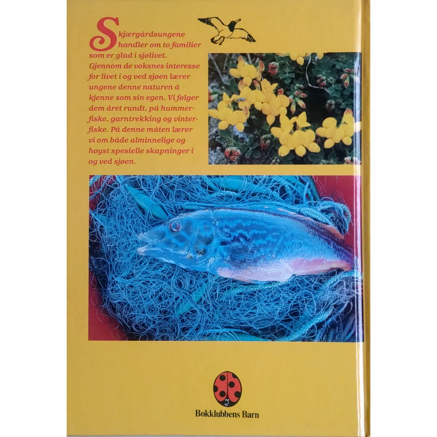 Skjærgårdsungene, brukte bøker av Øivind Berg og Johan Christian Frøstrup