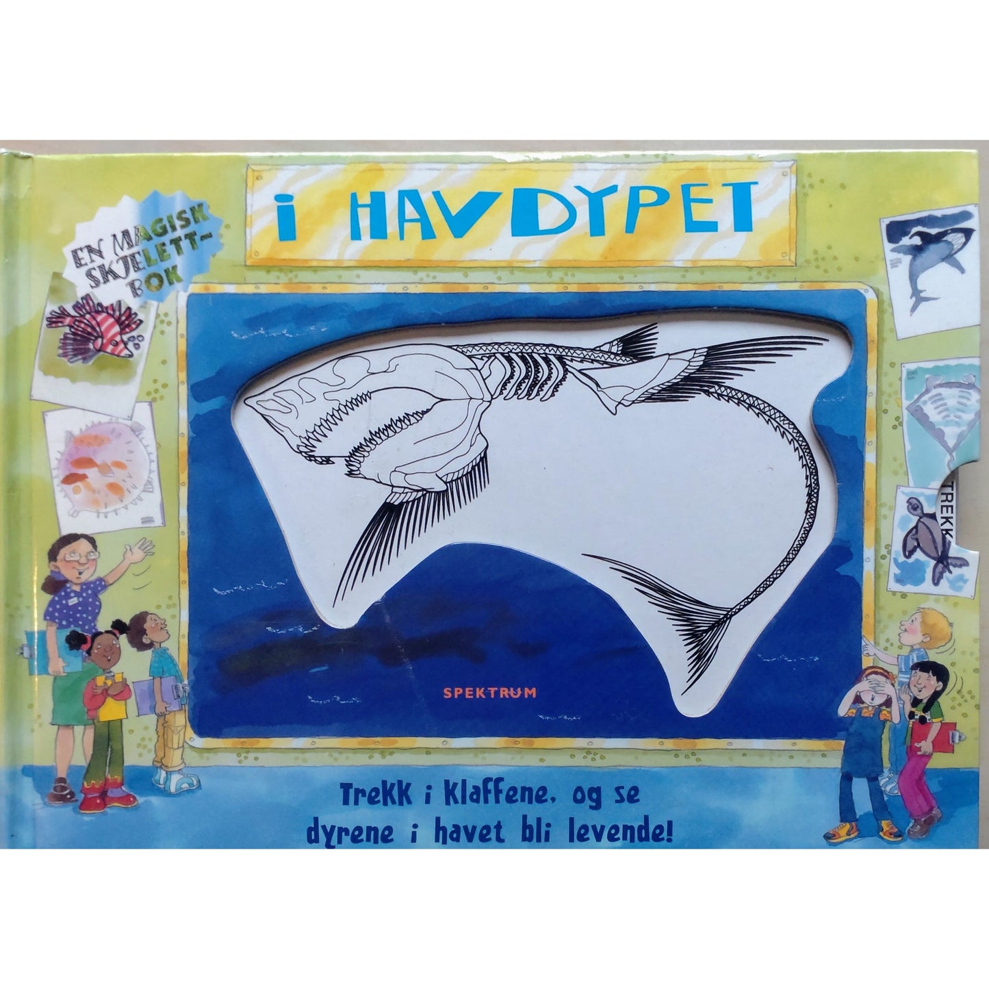 I havdypet. En magisk skjelettbok, brukte bøker om dyr i havet