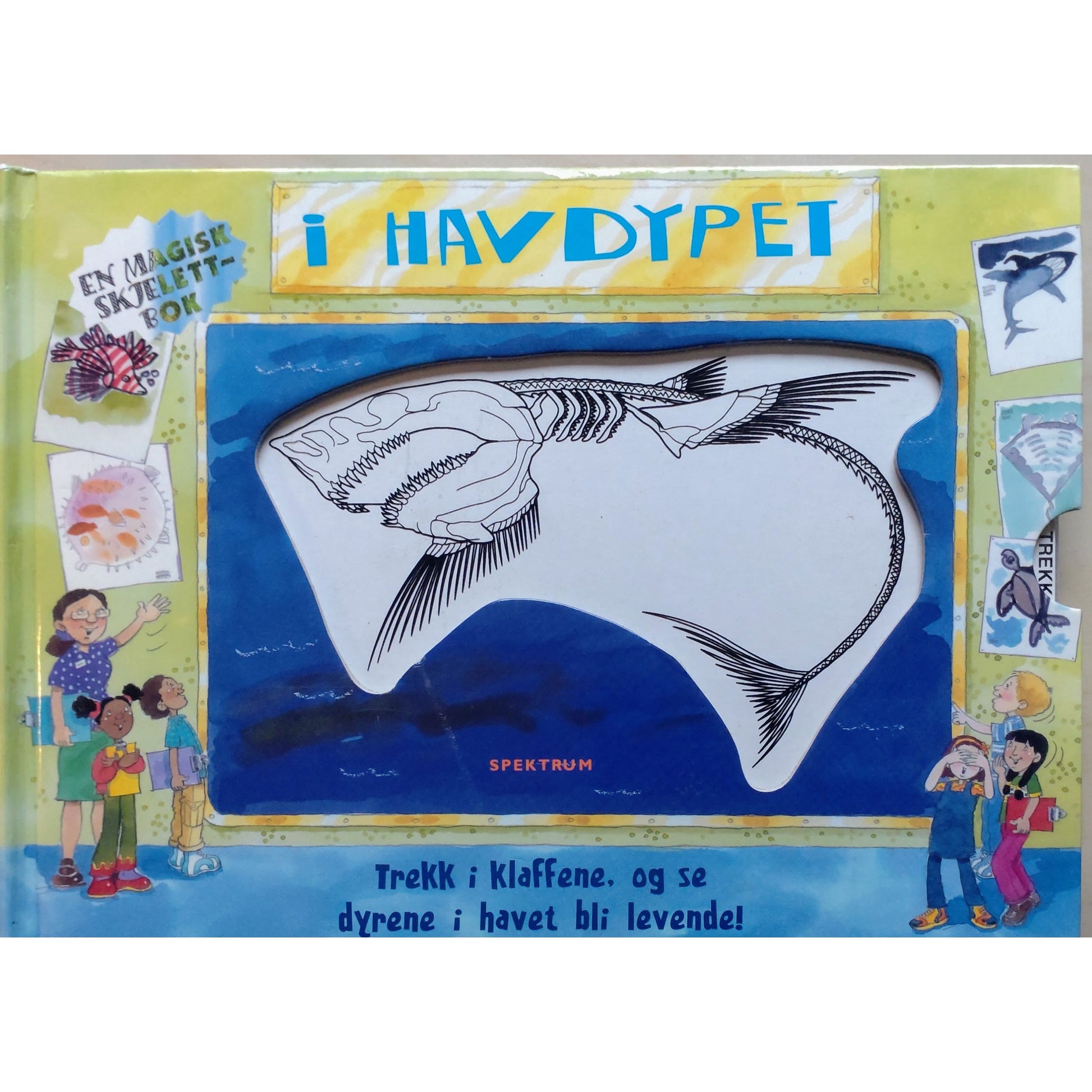 I havdypet. En magisk skjelettbok, brukte bøker om dyr i havet