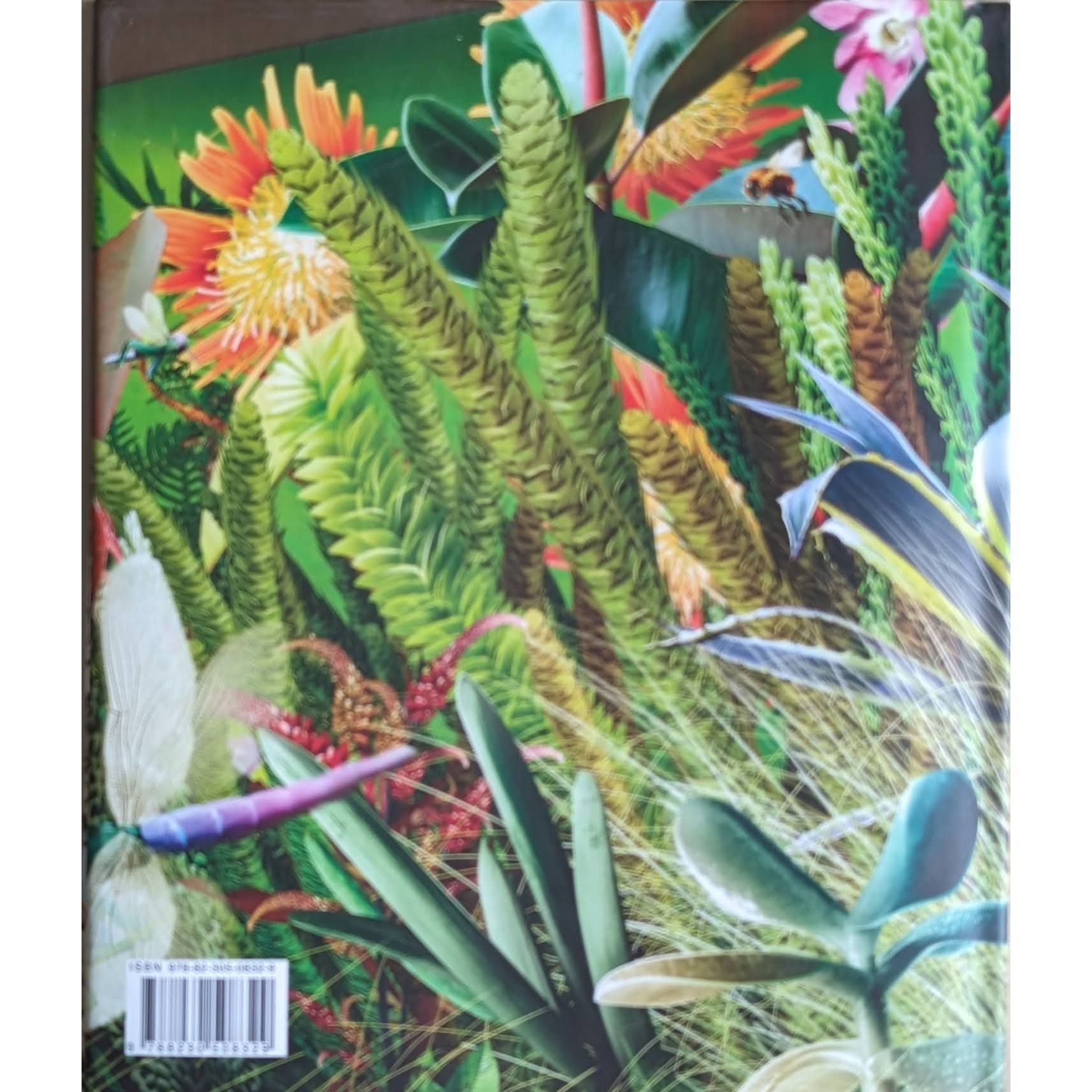 Fantastiske fjell og vulkaner, brukte bøker i Mine første fakta-serien