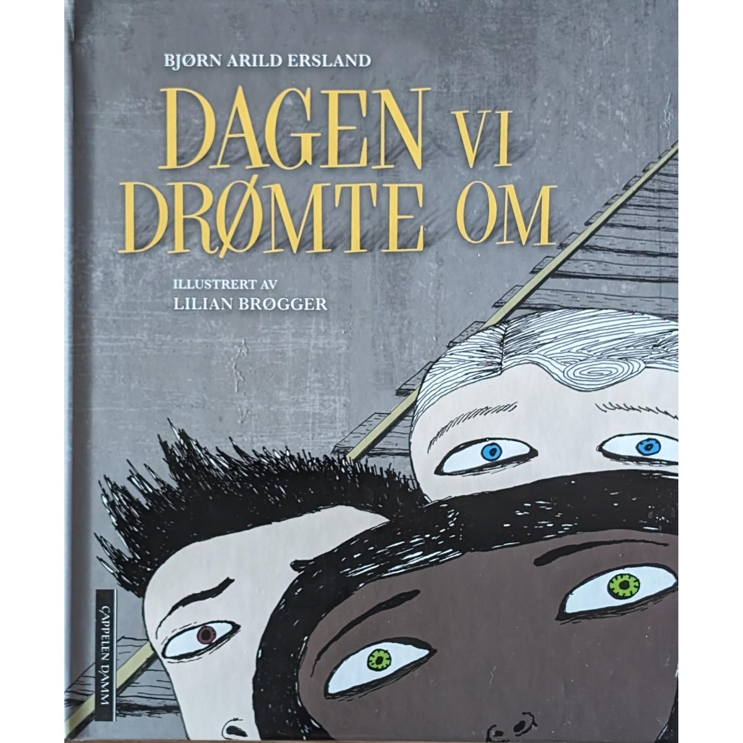 Dagen vi drømte om, brukte bøker av Bjørn Arild Ersland