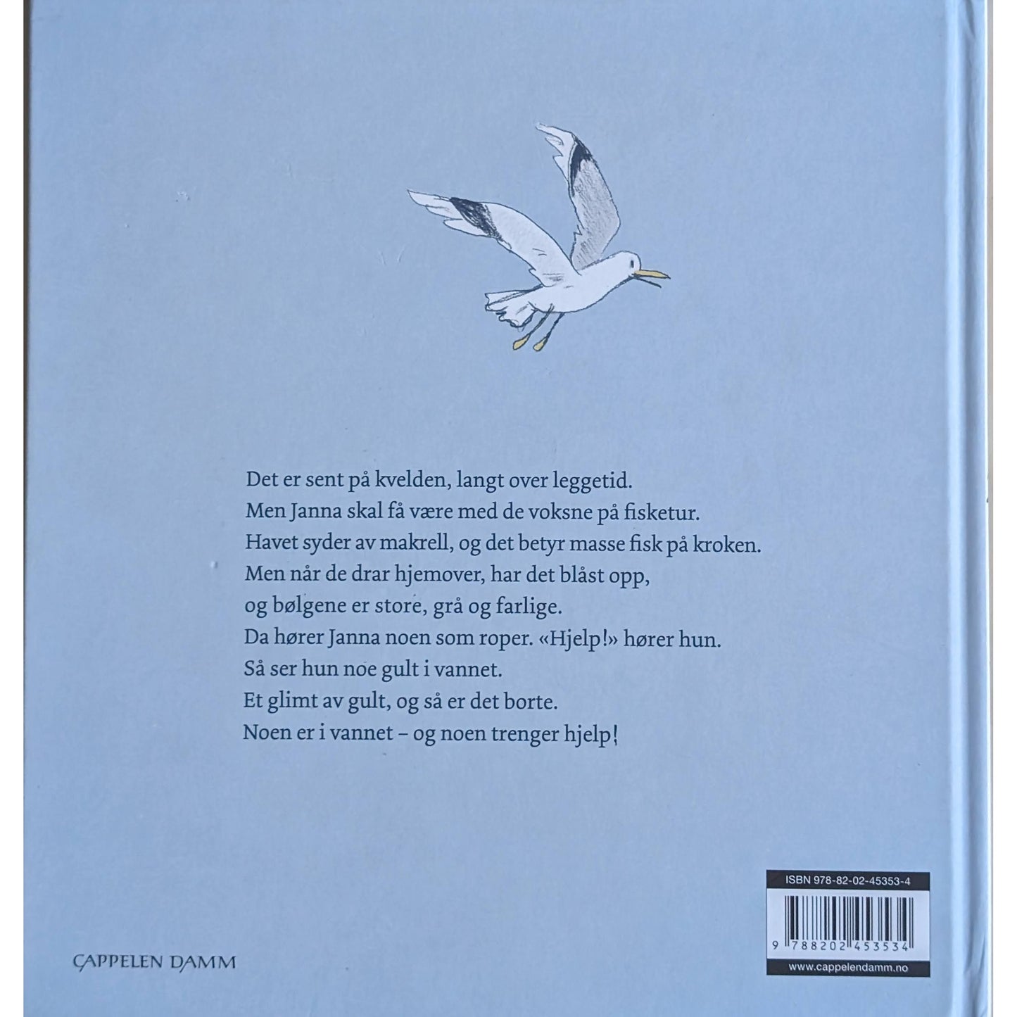 Monsterbølger Brukte bøker av Ingvild Bjerkeland og Åshild Irgens