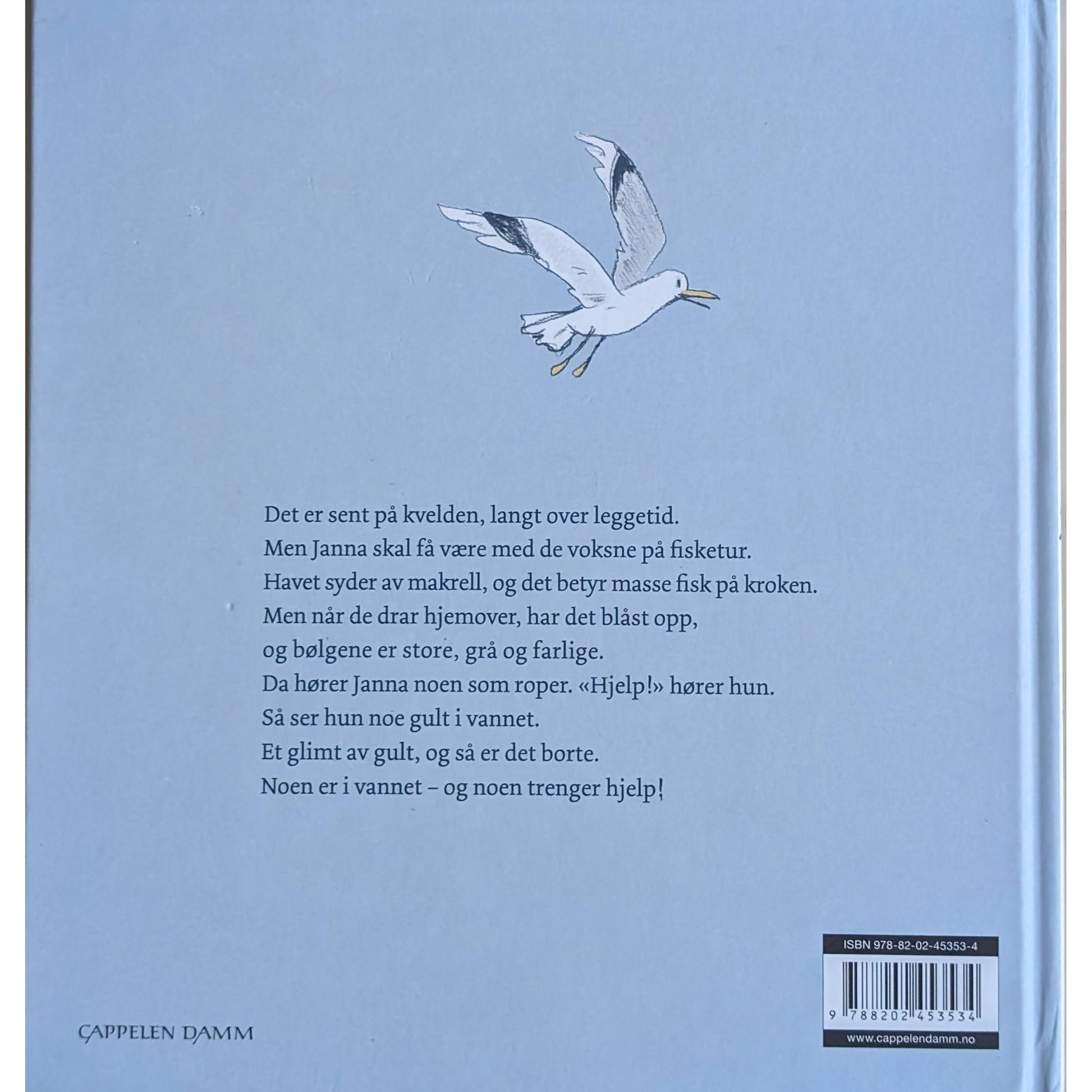 Monsterbølger Brukte bøker av Ingvild Bjerkeland og Åshild Irgens