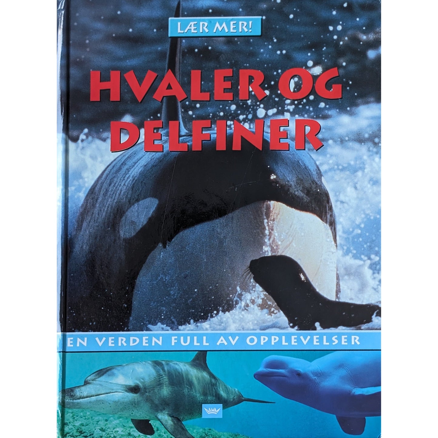 Lær mer! : Hvaler og delfiner