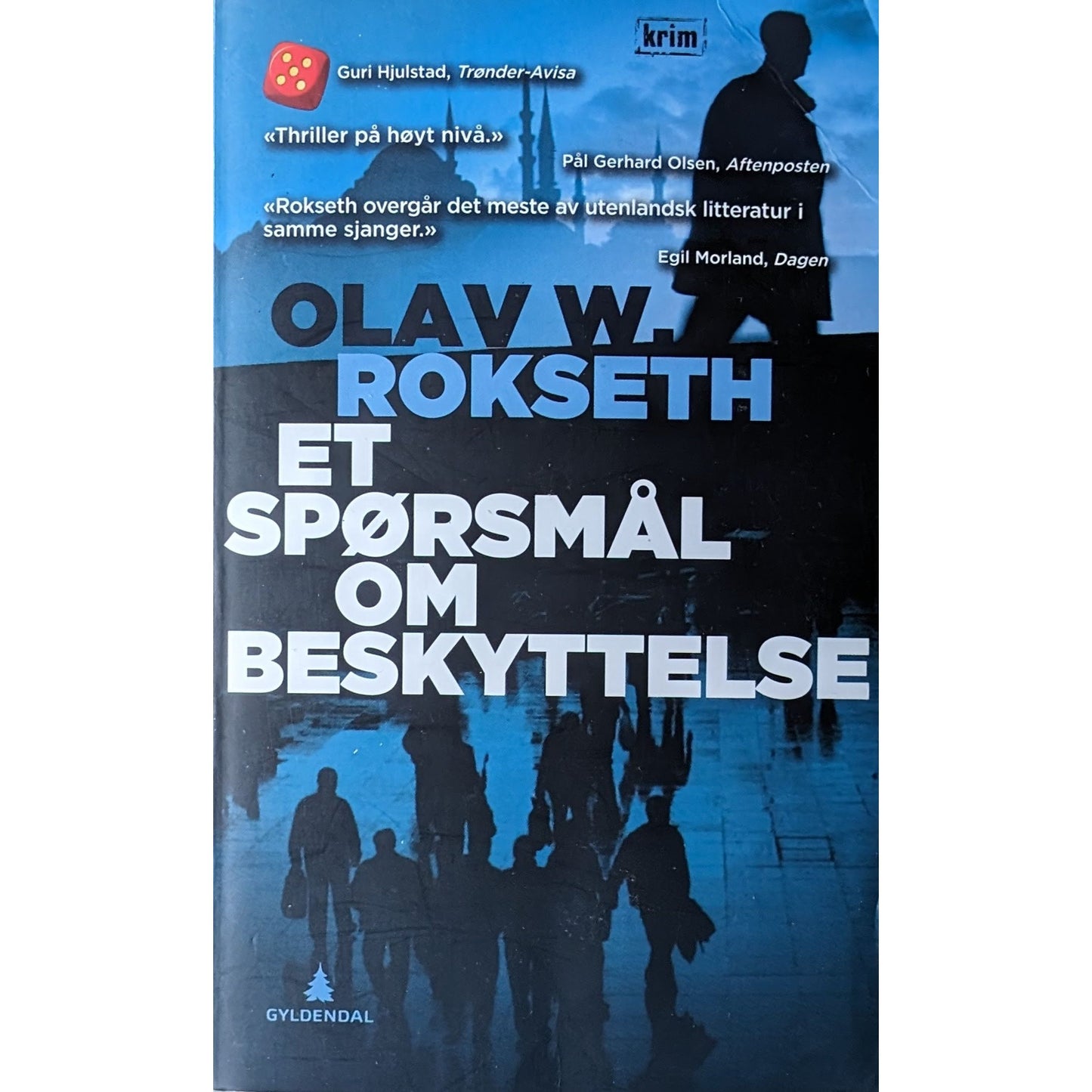 Et spørsmål om beskyttelse. Brukte bøker av Olav W. Rokseth