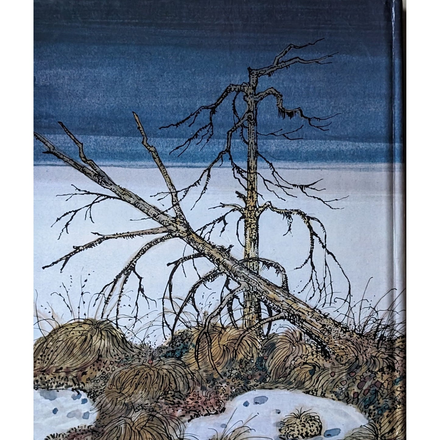 Tom i villmarka, brukte bøker av Ingvald Svinsaas