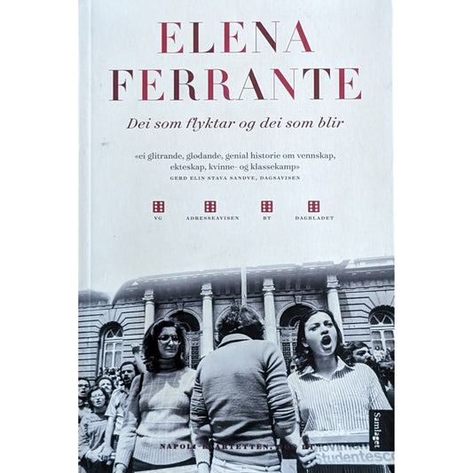 Dei som flyktar og dei som blir. Brukte bøker av Elena Ferrante