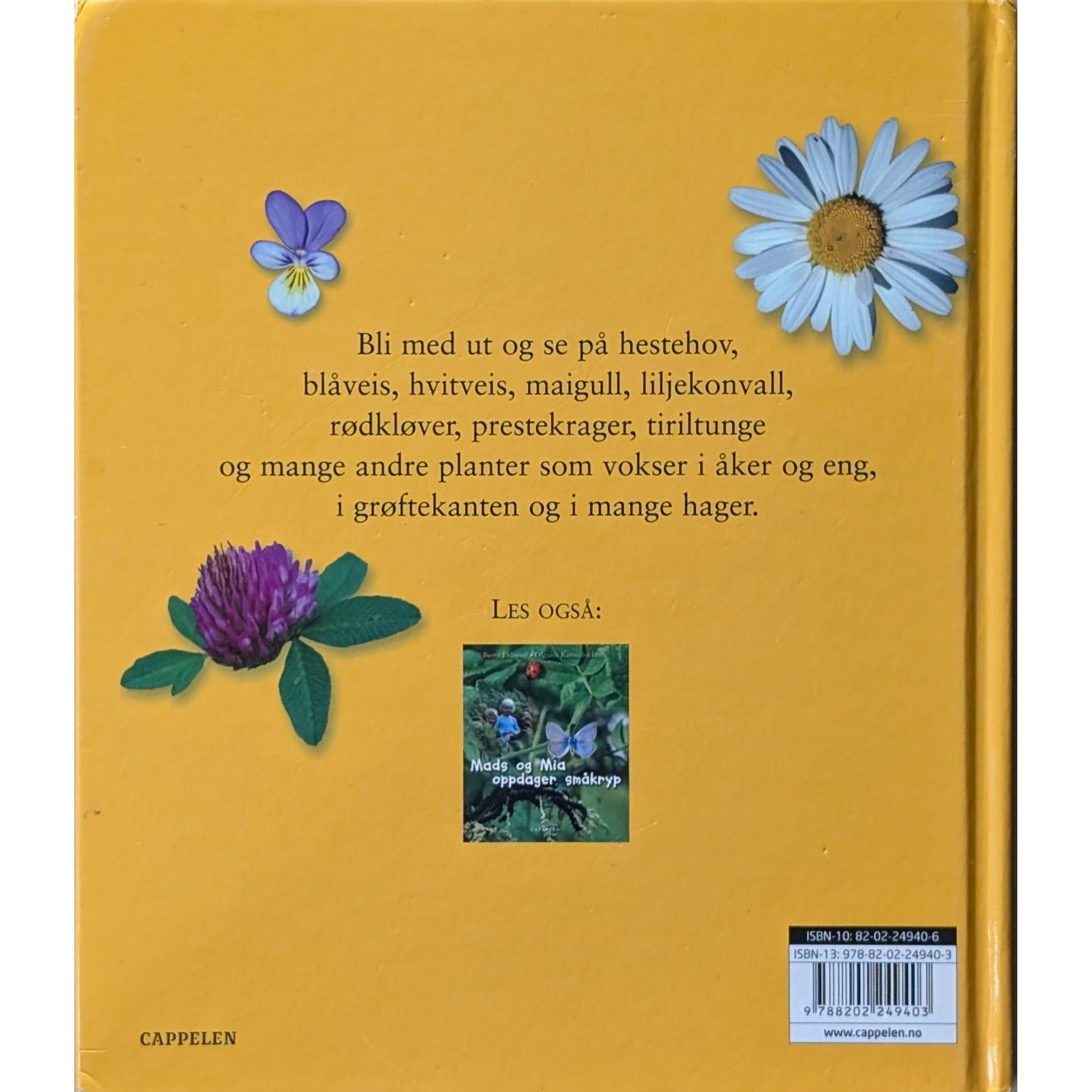 Mads og Mia ser på blomster, brukte bøker om markblomster