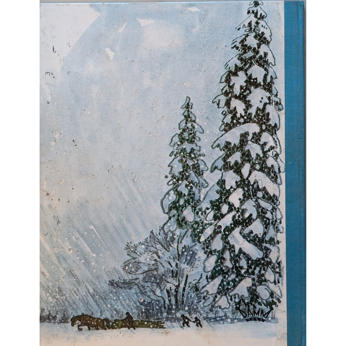 Den store snøstormen, brukte bøker av Hans Peterson