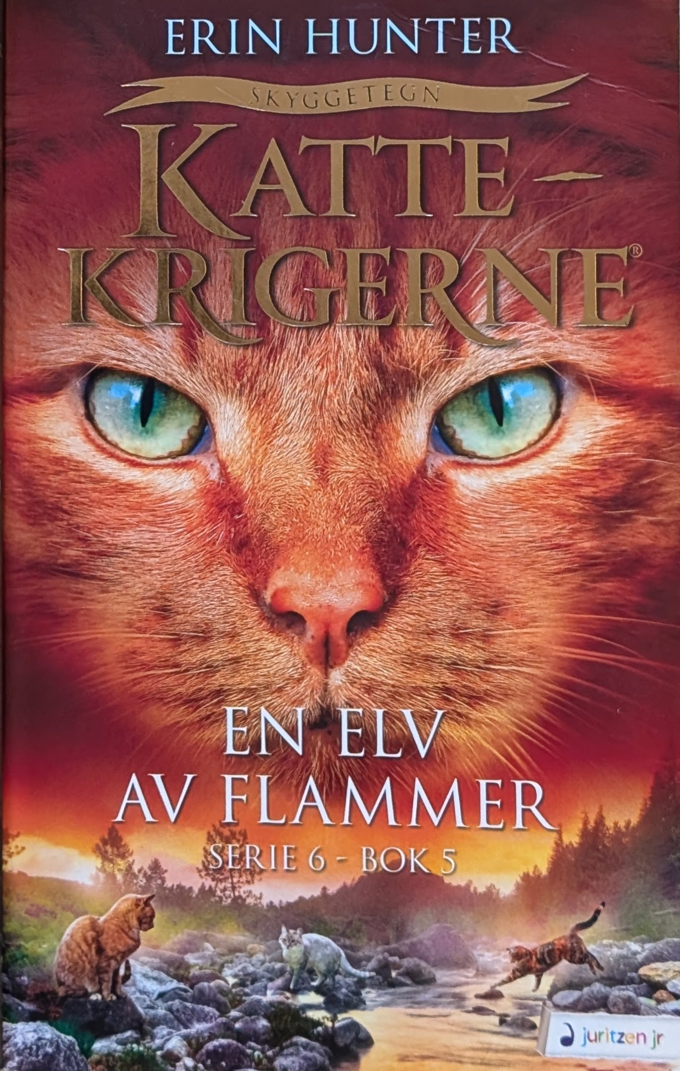 Brukte barnebøker av Erin Hunter: En elv av flammer - Kattekrigerne serie 6 - bok 5