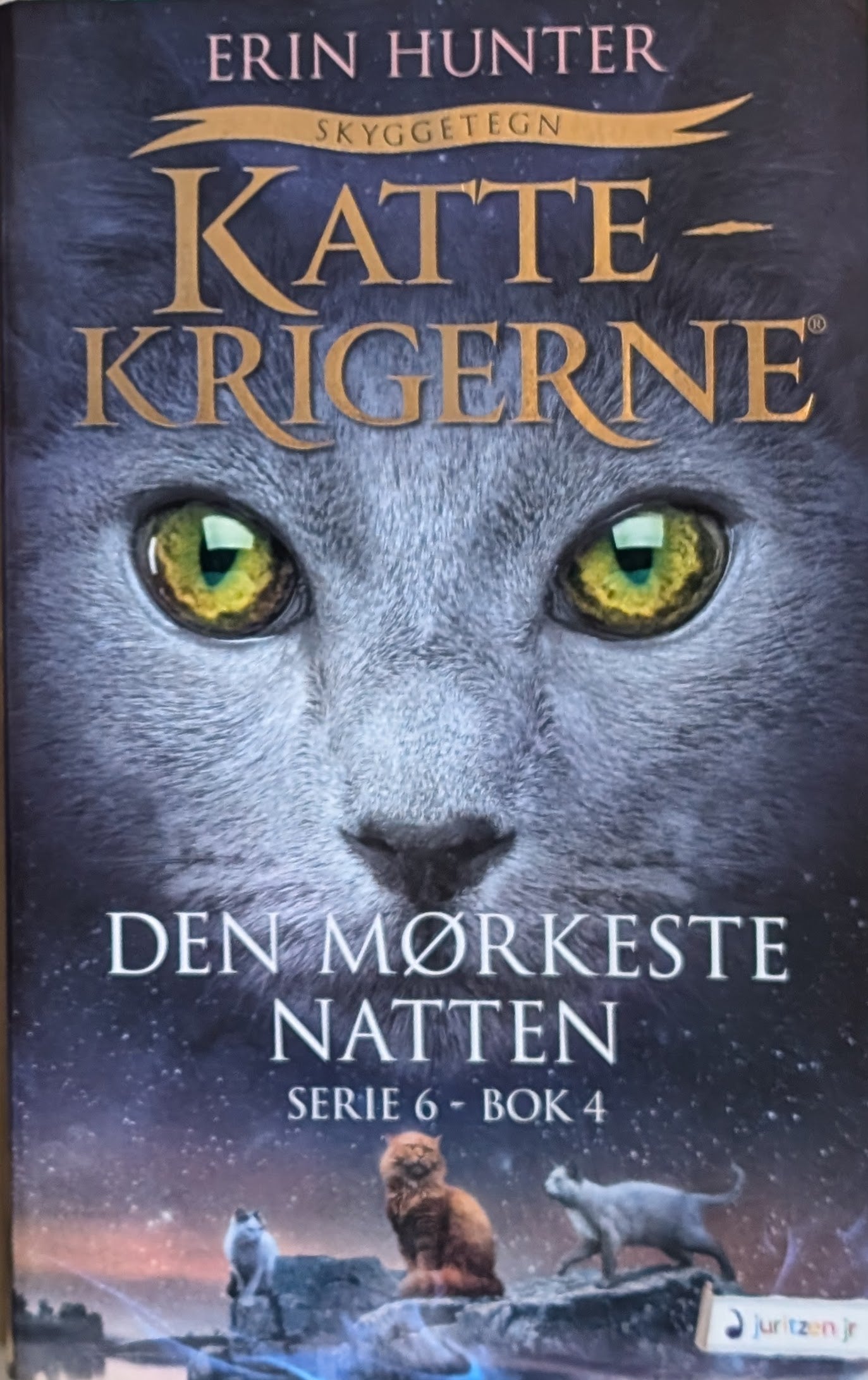 Brukte barnebøker av Erin Hunter: Den mørkeste natten - Kattekrigerne serie 6 - bok 4