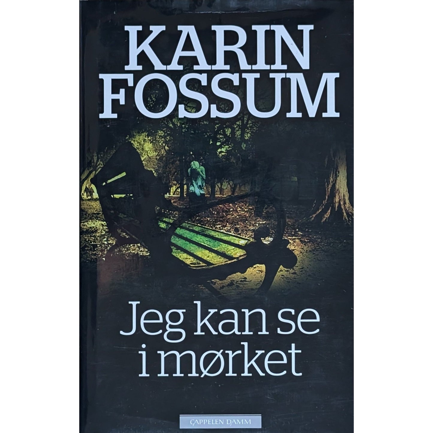 Jeg kan se i mørket, brukte bøker av Karin Fossum