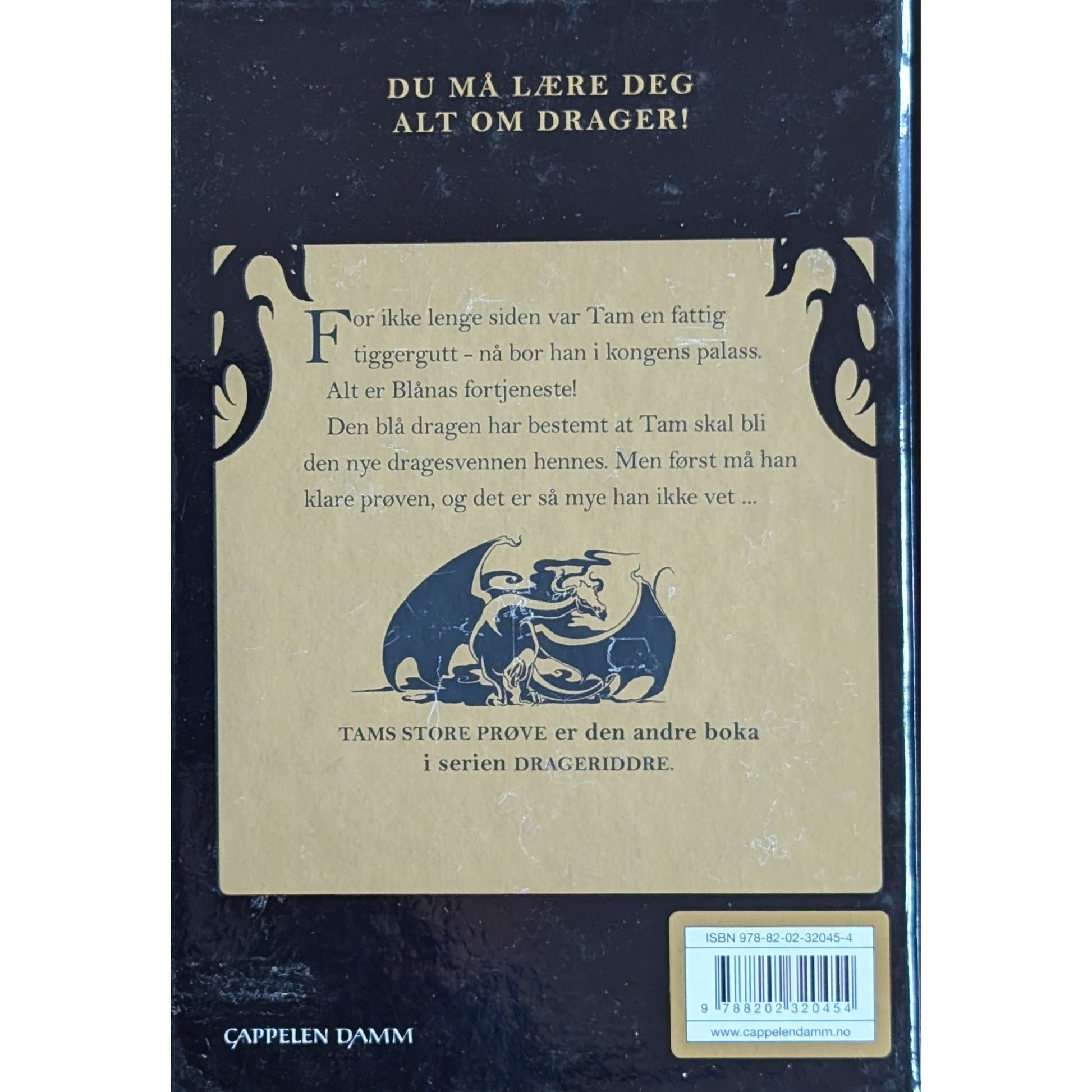 Drageridderne (2) - Tams store prøve, brukte bøker av Jo Salmson